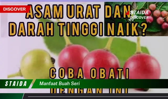 Manfaat Buah Seri: 7 Manfaat Luar Biasa yang Jarang Diketahui