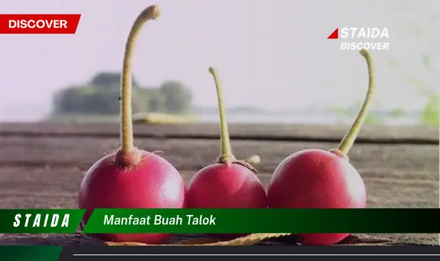 7 Manfaat Buah Talok yang Jarang Diketahui