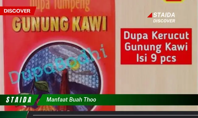 Ketahui 10 Manfaat Buah Thoo untuk Kesehatan Tubuh Anda