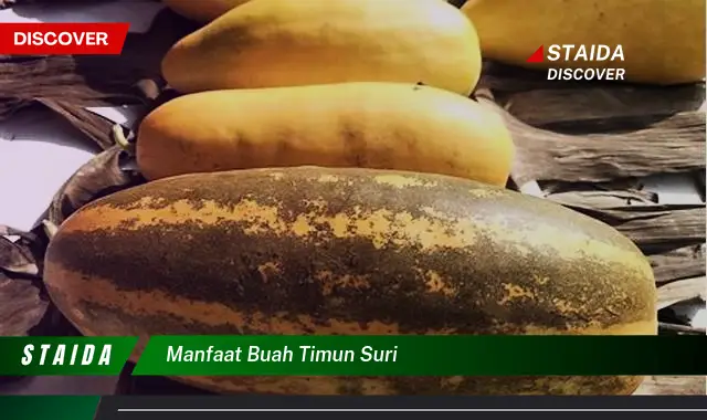 Temukan 7 Manfaat Buah Timun Suri yang Jarang Diketahui, Dijamin Mencengangkan!