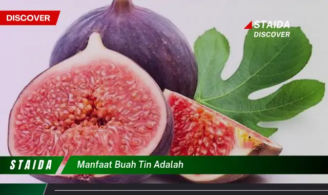 Temukan Manfaat Buah Tin yang Jarang Diketahui dan Anda Perlu Ketahui!