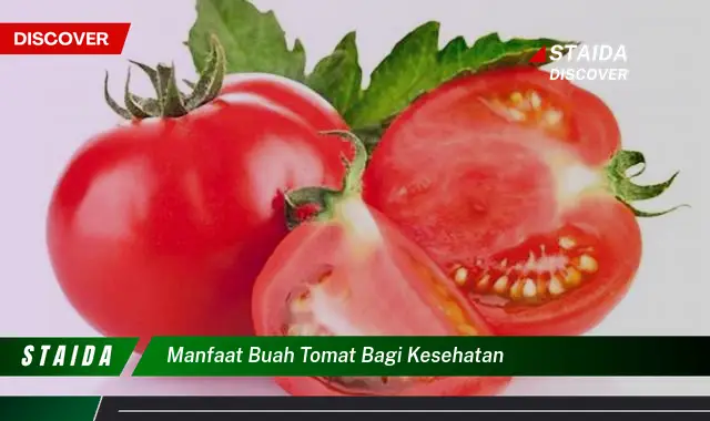 Manfaat Buah Tomat Bagi Kesehatan