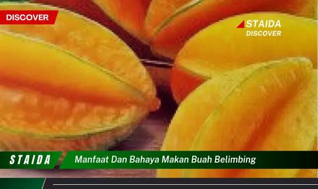 Temukan Manfaat dan Bahaya Buah Belimbing yang Jarang Diketahui