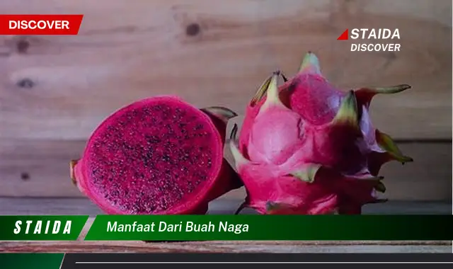 7 Manfaat Buah Naga Yang Jarang Diketahui Wajib Tahu