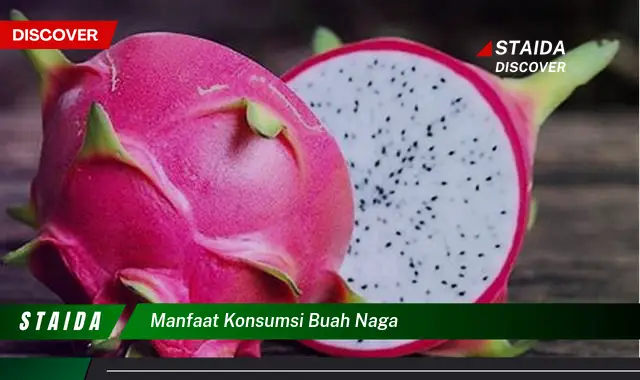 Temukan Manfaat Konsumsi Buah Naga yang Jarang Diketahui