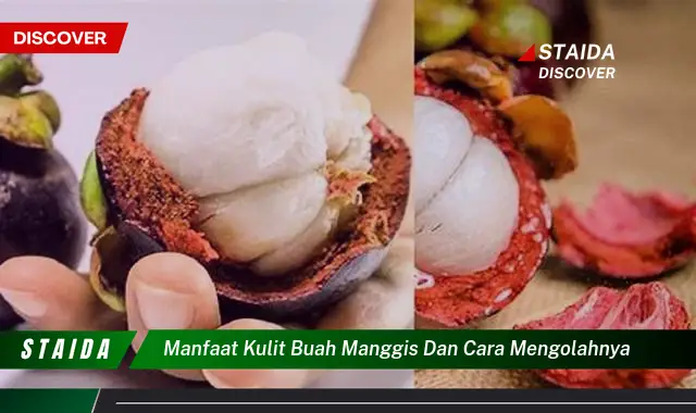 Ketahui 9 Manfaat Kulit Buah Manggis untuk Kesehatan dan Cara Mengolahnya Menjadi Obat Alami