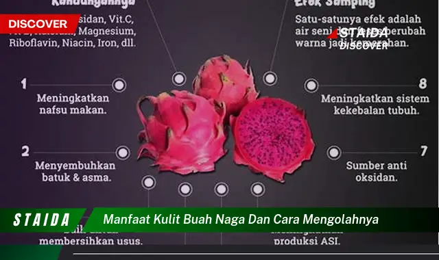 Ketahui 10 Manfaat Kulit Buah Naga,  Dari Kesehatan Hingga Kecantikan Kulit dan Cara Mengolahnya dengan Mudah