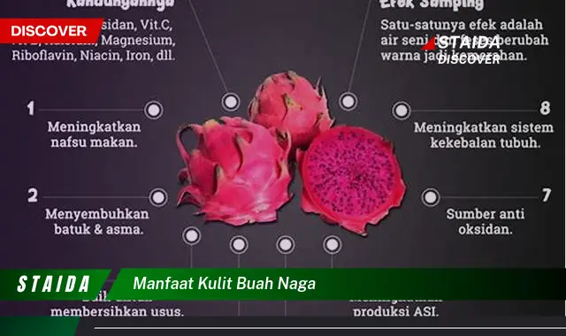 Temukan Manfaat Kulit Buah Naga yang Jarang Diketahui