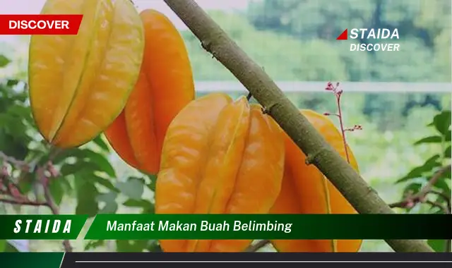 Ketahui 9 Manfaat Makan Buah Belimbing untuk Kesehatan Tubuh Anda