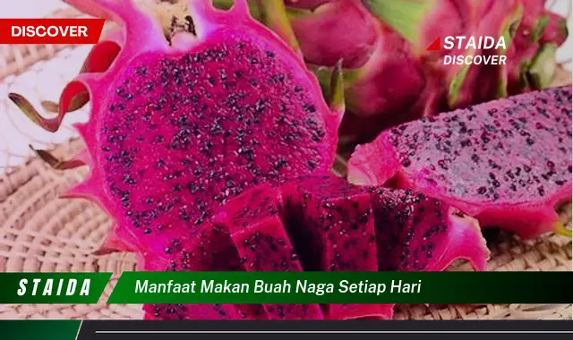 Temukan Manfaat Makan Buah Naga Tiap Hari yang Jarang Diketahui