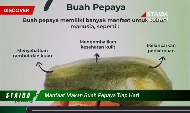 manfaat makan buah pepaya tiap hari