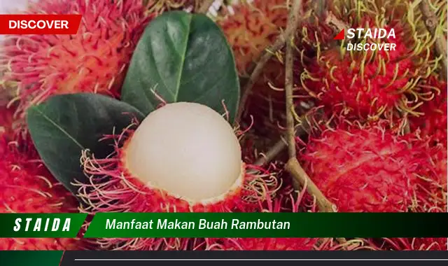 Temukan 7 Khasiat Istimewa Buah Rambutan yang Jarang Diketahui