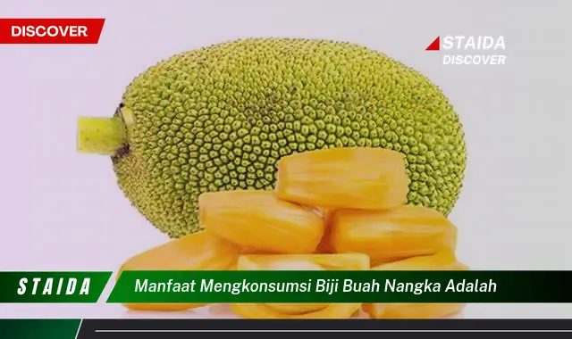 Temukan 7 Manfaat Biji Nangka yang Jarang Diketahui