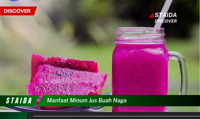 Temukan Rahasia Manfaat Minum Jus Buah Naga yang Jarang Diketahui