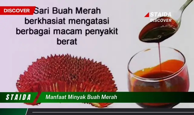 Ketahui 10 Manfaat Minyak Buah Merah untuk Kesehatan dan Kecantikan