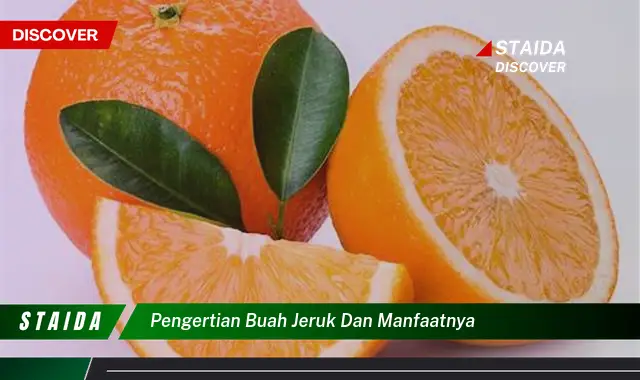 Ketahui Pengertian Buah Jeruk dan Manfaatnya untuk Kesehatan