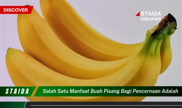 Ketahui Manfaat Pisang untuk Pencernaan Anda yang Menakjubkan