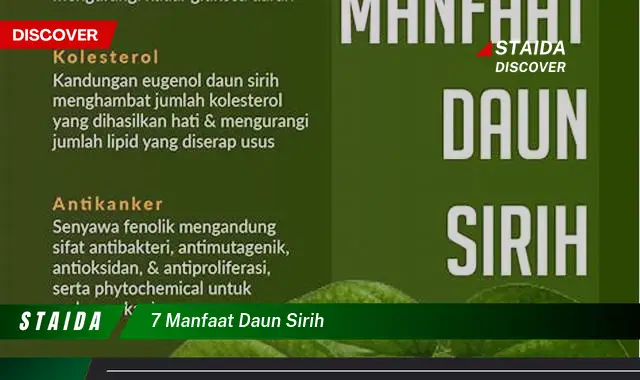 Ketahui 7 Manfaat Daun Sirih untuk Kesehatan dan Kecantikan Anda