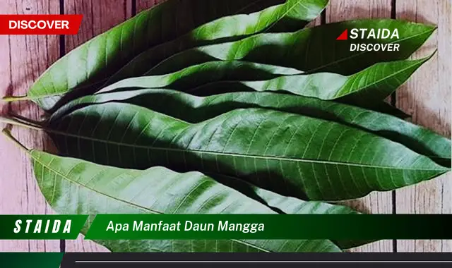 Temukan Manfaat Daun Mangga yang Jarang Diketahui