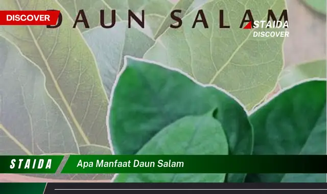 7 Manfaat Daun Salam yang Perlu Anda Ketahui