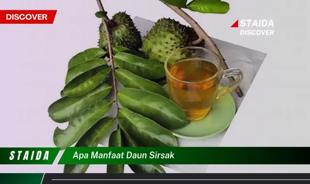 Temukan 7 Manfaat Daun Sirsak yang Jarang Diketahui