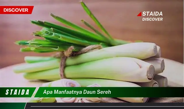 Temukan 7 Manfaat Daun Sereh yang Jarang Diketahui