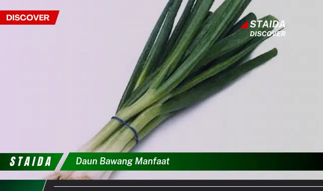 Temukan 7 Manfaat Daun Bawang yang Jarang Diketahui