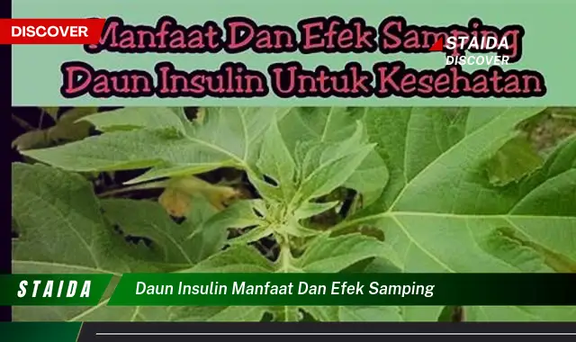 Temukan 7 Khasiat Daun Insulin yang Jarang Diketahui