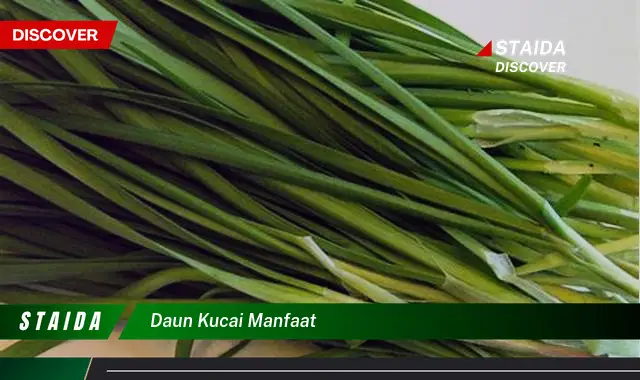 7 Manfaat Daun Kucai yang Jarang Diketahui