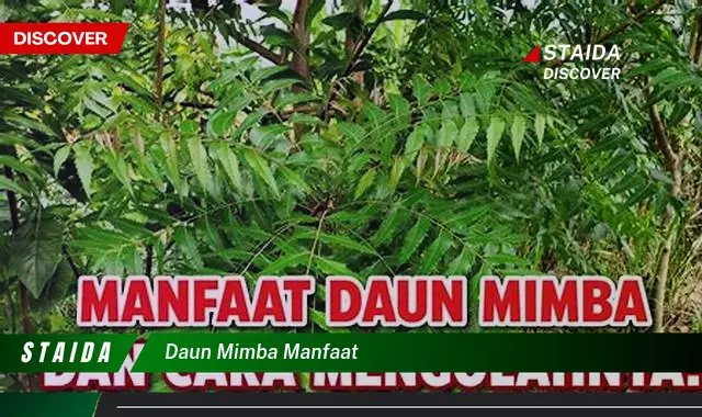 Temukan 7 Khasiat Daun Mimba yang Jarang Diketahui