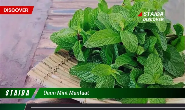 Temukan Manfaat Daun Mint yang Tidak Anda Ketahui!