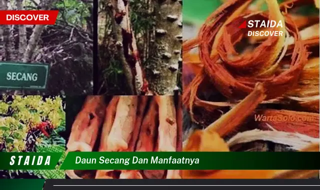 Temukan 7 Manfaat Daun Secang yang Jarang Diketahui