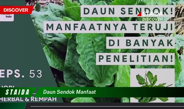 Temukan 7 Manfaat Daun Sendok yang Jarang Diketahui