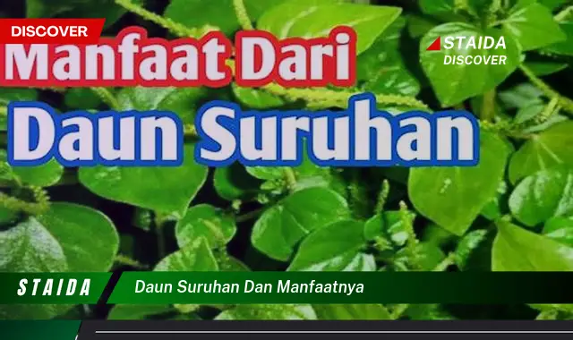 Temukan Manfaat Daun Suruhan yang Jarang Diketahui