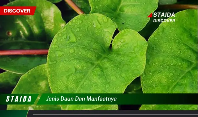 Temukan Manfaat Daun yang Jarang Diketahui, Anda Perlu Tahu