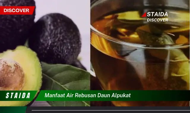 Temukan 7 Manfaat Air Rebusan Daun Alpukat yang Jarang Diketahui