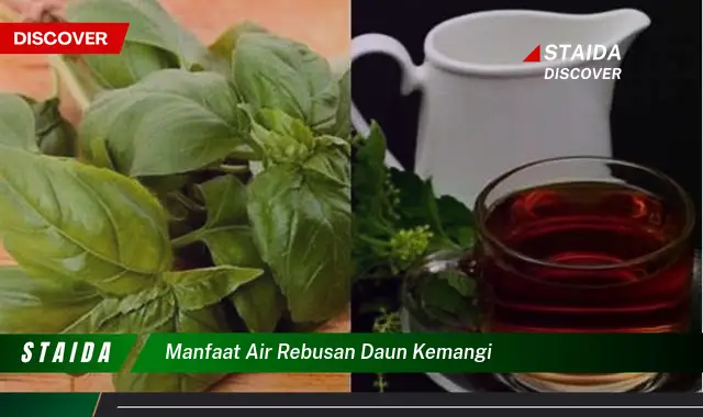 Temukan 7 Manfaat Air Rebusan Daun Kemangi yang Jarang Diketahui