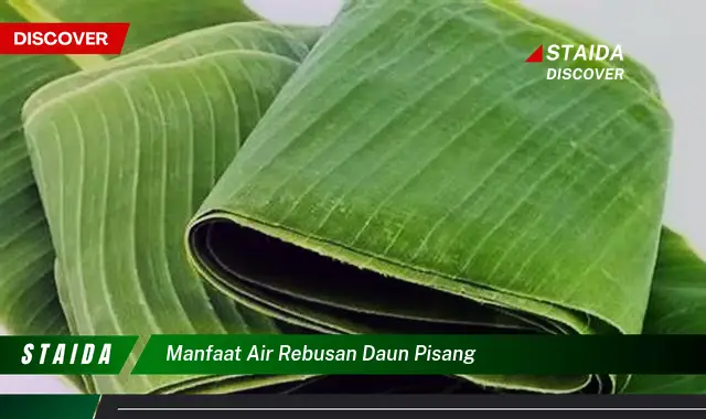 Ketahui 10 Manfaat Air Rebusan Daun Pisang untuk Kesehatan Tubuh Anda