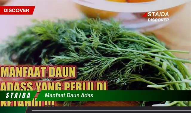 Ketahui 10 Manfaat Daun Adas untuk Kesehatan, Kecantikan, dan Masakan