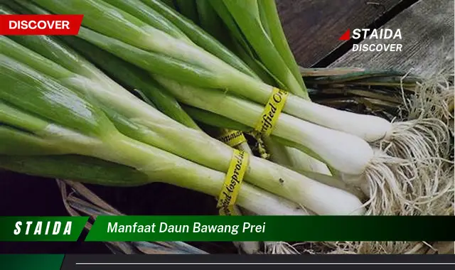 Temukan 7 Manfaat Daun Bawang Prei yang Jarang Diketahui untuk Kesehatan!