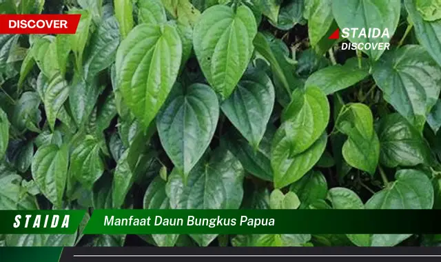 Temukan 7 Manfaat Daun Bungkus Papua yang Jarang Diketahui