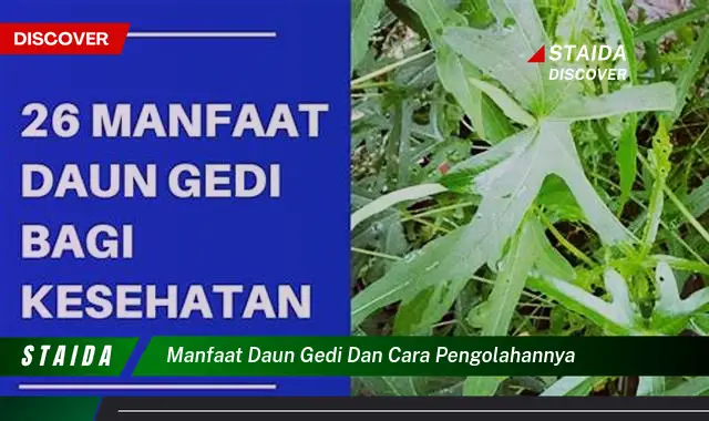 Temukan 7 Manfaat Daun Gedi dan Cara Olahnya yang Jarang Diketahui