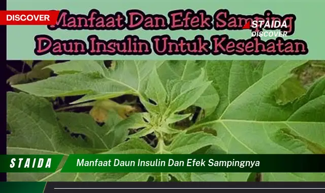 Temukan Manfaat Daun Insulin Yang Jarang Diketahui