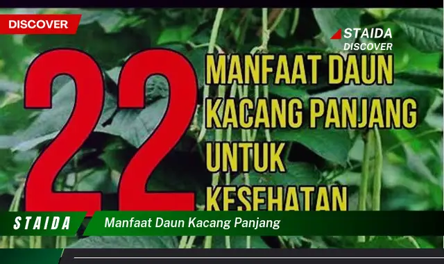 Temukan Manfaat Daun Kacang Panjang, Rahasia Kesehatan Jarang Diketahui!