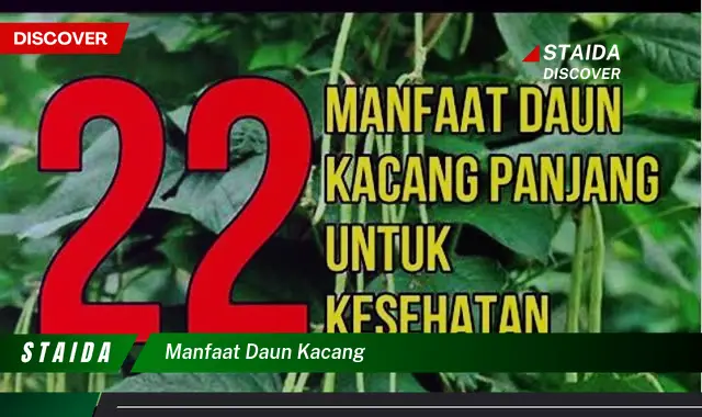 Temukan 7 Manfaat Daun Kacang yang Jarang Diketahui, Bikin Terkejut!