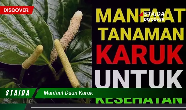 Temukan Manfaat Daun Karuk yang Jarang Diketahui!