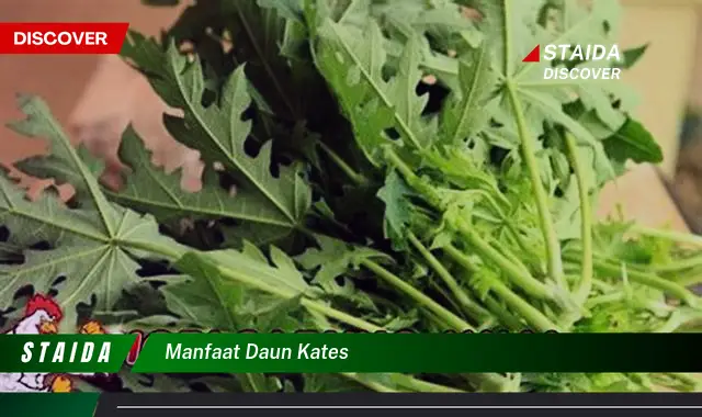 Ketahui 8 Manfaat Daun Kates untuk Kesehatan, Kecantikan, dan Masakan