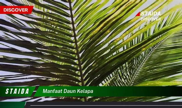 Ketahui 10 Manfaat Daun Kelapa untuk Kesehatan, Kecantikan, dan Kebutuhan Rumah Tangga