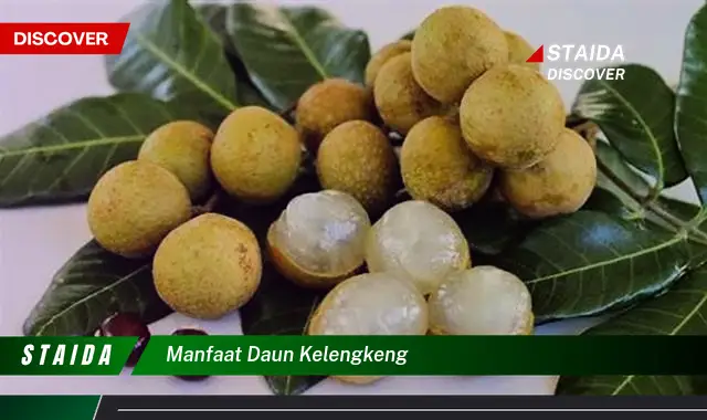 Ungkap 7 Manfaat Daun Kelengkeng untuk Kesehatan yang Jarang Diketahui