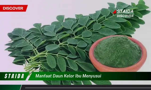 Temukan Manfaat Daun Kelor untuk Ibu Menyusui yang Jarang Diketahui